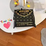 Aria 포드고리차